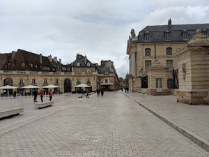 Plâtrier Plaquiste Dijon